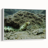 Framed canvas wall art showcasing a vibrant marine life design, featuring colorful fish and coral, displayed from a white side view. Perfect for ocean-themed decor.