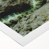 Vibrant rolled canvas showcasing an intricate marine life wall art design, featuring colorful fish and coral elements, ideal for ocean-themed decor in a living room or office.