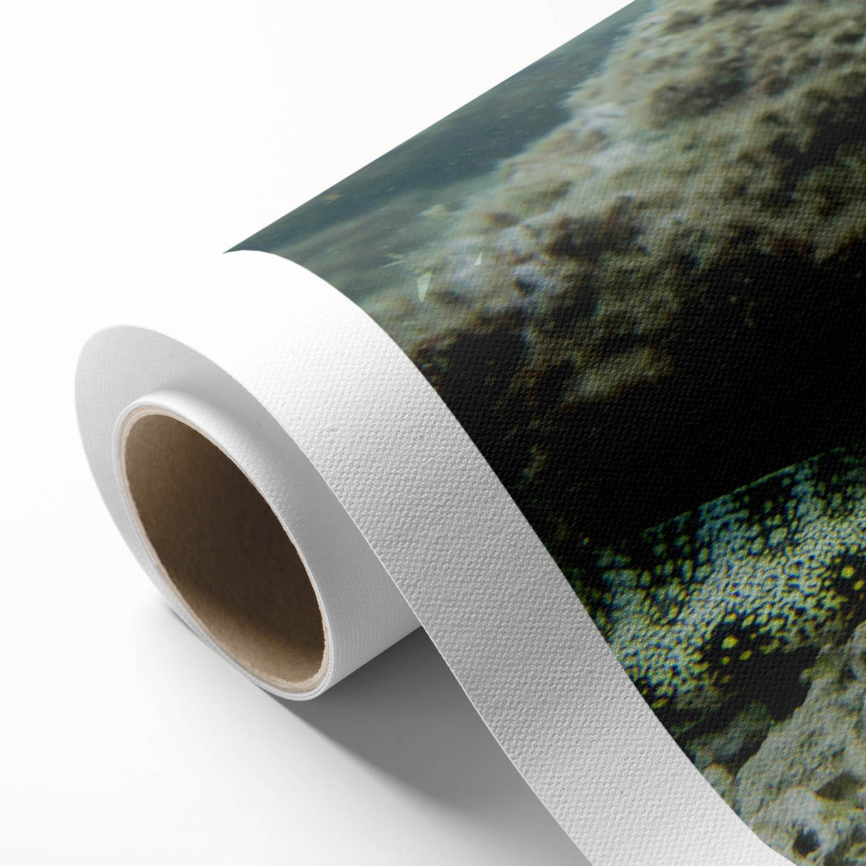 Vibrant rolled canvas artwork showcasing a detailed marine life design, featuring colorful sea creatures and coral motifs, ideal for ocean-themed decor.