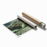 Vibrant rolled print of marine life wall art featuring colorful aquatic creatures, designed to enhance home decor, rolled for easy transport and display.