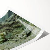 Vibrant marine life wall art design showcasing colorful underwater scenes, featuring tropical fish and coral, printed on high-quality canvas for home decor.