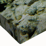 Vibrant close-up of a stretched canvas wall art featuring detailed marine life design, showcasing vivid colors and intricate textures perfect for coastal decor.