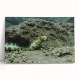 Stretched canvas wall art featuring vibrant marine life design, showcasing colorful fish and coral, perfect for ocean-themed decor in homes or offices.