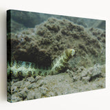 Stretched canvas wall art showcasing a vibrant marine life eel design, featuring rich colors and intricate details, perfect for enhancing ocean-themed decor.