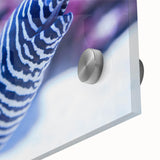 Close-up of marine life wall art collection featuring vibrant acrylic glass design, showcasing intricate details of ocean creatures in vivid colors, perfect for aquatic-themed decor.