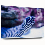 Acrylic glass wall art collection showcasing vibrant marine life designs, featuring colorful fish and coral in a side view display, perfect for ocean-themed decor.