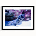 Framed wall art collection showcasing an intricate marine life eel design with a black mat and frame, perfect for ocean-themed decor and coastal aesthetics.