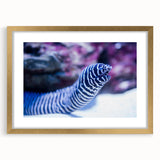 Framed wall art featuring a marine life eel design with a gold mat and frame, showcasing vibrant colors and intricate details, ideal for ocean-themed decor.