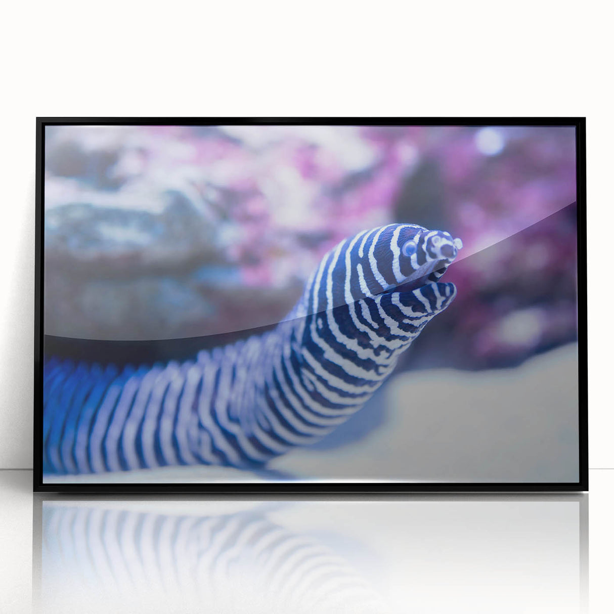 Framed acrylic wall art featuring a vibrant marine life design with intricate details of colorful sea creatures, set against a sleek black frame, ideal for ocean-themed decor.