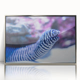 Framed wall art collection featuring a marine life eel design with silver accents, showcasing vibrant ocean colors and intricate details, perfect for aquatic decor enthusiasts.