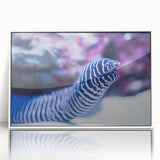 Framed acrylic wall art showcasing a vibrant marine life eel design, featuring shades of blue and green, set against a sleek white background, perfect for ocean-themed decor.