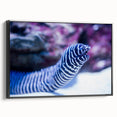 Framed canvas wall art collection showcasing vibrant marine life eel design in a sleek black frame, highlighting intricate details and colors from a side view. Perfect for ocean-themed decor.