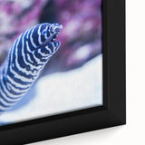 Framed canvas wall art showcasing a vibrant marine life eel design in rich colors, highlighting intricate details and textures, perfect for ocean-themed decor.