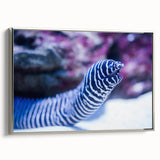 Framed wall art featuring a stunning marine life eel design in vibrant colors, displayed in a sleek silver frame, perfect for ocean-themed decor.