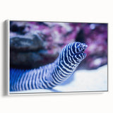 Framed canvas wall art depicting a vibrant marine life eel design, showcased in a white frame with a sleek side view, perfect for ocean-themed decor.
