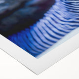 Rolled canvas art showcasing a vibrant marine life eel design, featuring intricate details and vivid colors, ideal for ocean-themed decor. Packaged securely in a sturdy tube.