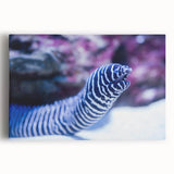 Vibrant marine life wall art collection displayed on a stretched canvas, showcasing colorful sea creatures and underwater themes, ideal for coastal decor enthusiasts.