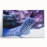 Vibrant marine life wall art collection featuring colorful aquatic creatures on stretched canvas, elegantly displayed against a neutral backdrop, perfect for ocean-themed decor.