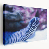 Stretched canvas wall art showcasing a vibrant marine life eel design, featuring intricate details and bold colors, perfect for ocean-themed decor.