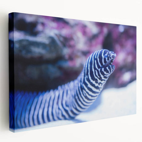Stretched canvas wall art showcasing a vibrant marine life eel design, featuring intricate details and bold colors, perfect for ocean-themed decor.