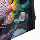 Close-up of vibrant marine life wall art featuring various fish designs, printed on acrylic glass, showcasing intricate details and vivid colors in a modern decor style.