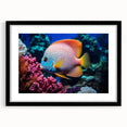Framed wall art collection featuring a vibrant marine life fish design, displayed in a sleek black frame with a mat, perfect for ocean-themed decor.