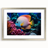 Framed marine life wall art collection featuring colorful fish designs under a silver frame with a mat, ideal for ocean-themed home decor.