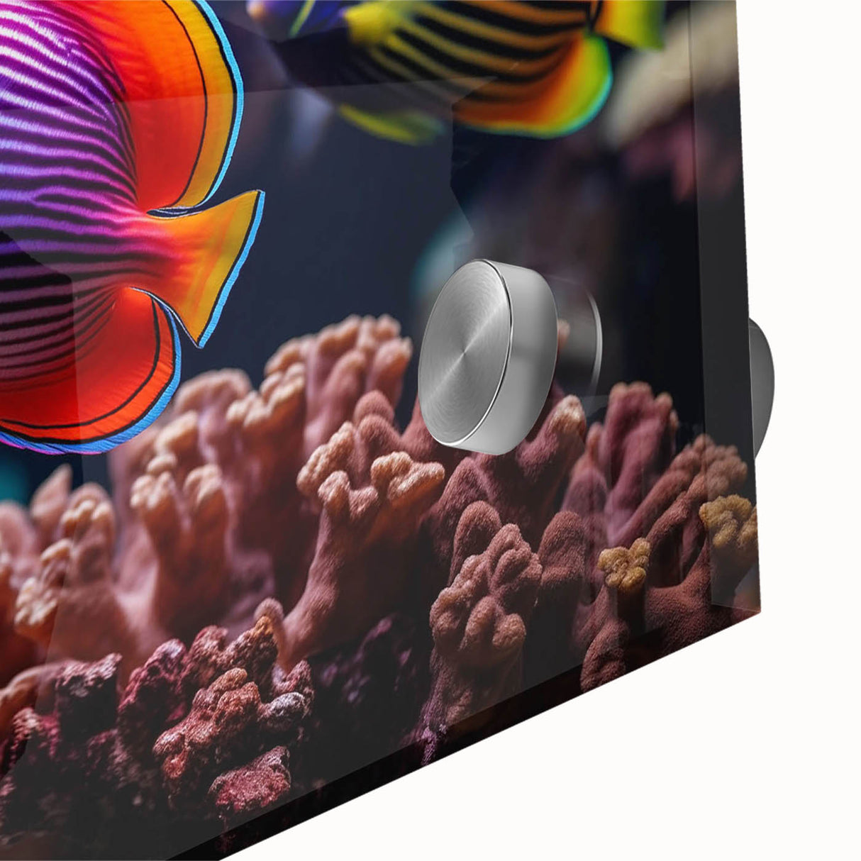 Close-up of vibrant marine life wall art featuring a colorful fish design on acrylic glass, showcasing intricate details and textures, perfect for ocean-themed decor.