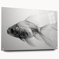 Acrylic wall art featuring vibrant marine life fish design, displayed in a sleek glass frame, complemented by decorative pins, ideal for ocean-themed decor.
