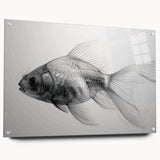 Acrylic wall art featuring vibrant marine life fish design, displayed in a sleek glass frame, complemented by decorative pins, ideal for ocean-themed decor.