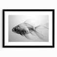 Framed wall art featuring a vibrant marine life fish design in a black frame with a mat, showcasing colorful aquatic species, perfect for ocean-themed decor.