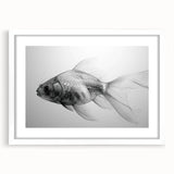 Marine life fish design wall art collection framed with a white mat, showcasing colorful aquatic patterns and textures ideal for ocean-themed decor.