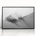 Framed wall art showcasing a vibrant marine life fish design in a sleek black frame, ideal for ocean-themed decor, adding a touch of elegance and color to any space.