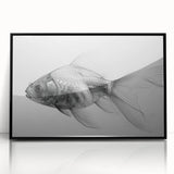 Framed wall art showcasing a vibrant marine life fish design in a sleek black frame, ideal for ocean-themed decor, adding a touch of elegance and color to any space.