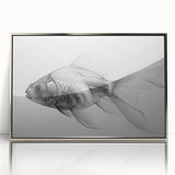 Framed acrylic wall art showcasing a vibrant marine life fish design, featuring vivid colors and detailed textures, perfect for ocean-themed decor.