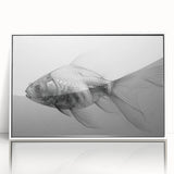 Framed wall art featuring a vibrant marine life fish design in acrylic, showcasing colorful fish against a white background, perfect for ocean-themed decor.