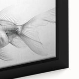 Framed canvas wall art showcasing a vibrant marine life fish design with intricate details and vivid colors, perfect for enhancing aquatic-themed decor.