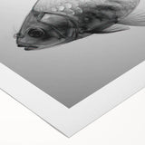 Vibrant rolled canvas wall art showcasing a detailed marine life fish design, featuring colorful aquatic creatures against a serene blue background, perfect for ocean-themed decor.