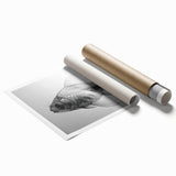 Colorful marine life wall art featuring various fish designs in vibrant hues, ideal for ocean-themed decor. The rolled print showcases intricate details and textures, perfect for enhancing any interior space.