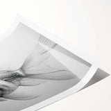 Vibrant marine life wall art print showcasing a diverse range of colorful fish and aquatic plants, rolled and ready for framing, ideal for ocean-themed decor.