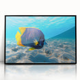 Framed wall art featuring a vibrant marine life fish design in a sleek black frame, showcasing colorful aquatic creatures against a white background, perfect for ocean-themed decor.