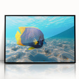 Framed wall art featuring a vibrant marine life fish design in a sleek black frame, showcasing colorful aquatic creatures against a white background, perfect for ocean-themed decor.