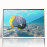 Framed wall art featuring a vibrant marine life fish design in acrylic, showcasing colorful aquatic creatures against a white background, ideal for ocean-themed decor.