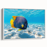 Framed wall art collection showcasing vibrant marine life fish designs on canvas, featuring a white frame and side view composition, perfect for ocean-themed decor.