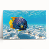 Stretched canvas wall art featuring a vibrant marine life fish design, showcasing colorful aquatic creatures in a dynamic underwater scene, perfect for ocean-themed decor.