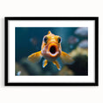 Framed wall art showcasing a vibrant marine life fish design, featuring colorful aquatic species against a sleek black background, ideal for ocean-themed decor.
