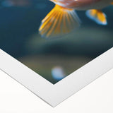 Vibrant rolled canvas artwork showcasing a colorful marine life fish design, ideal for ocean-themed decor, featuring intricate details and textures, perfect for enhancing living spaces.