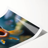 Vibrant marine life wall art print showcasing colorful fish designs on a textured background, rolled and ready for framing in a protective tube. Perfect for ocean-themed decor.