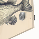 Close-up of vibrant marine life wall art featuring a variety of colorful fish designs on acrylic glass, ideal for ocean-themed decor and aquatic enthusiasts.