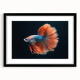 Black-framed wall art collection showcasing vibrant marine life fish design, featuring intricate details and colors, ideal for ocean-themed decor in living spaces.